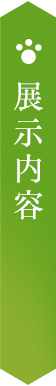 展示内容